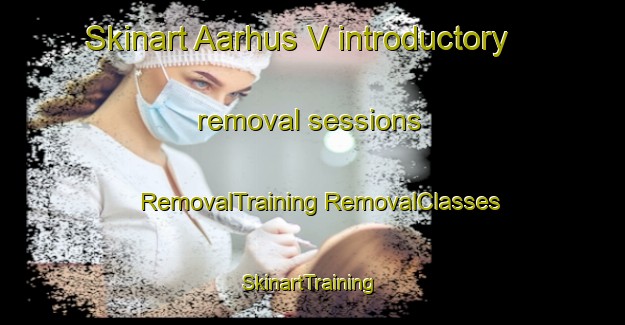 Skinart Aarhus V introductory removal sessions | #RemovalTraining #RemovalClasses #SkinartTraining-Denmark