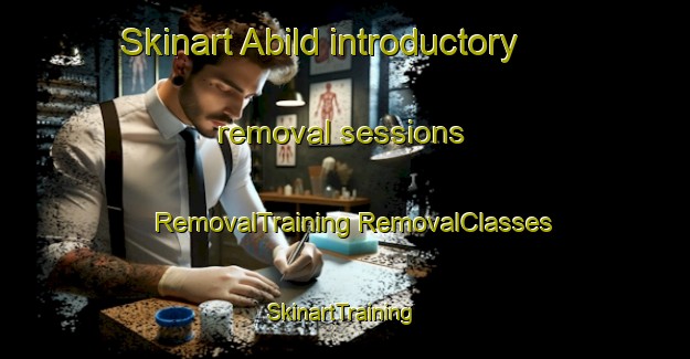 Skinart Abild introductory removal sessions | #RemovalTraining #RemovalClasses #SkinartTraining-Denmark