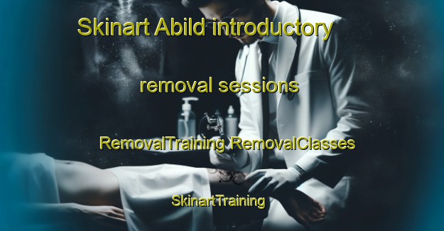 Skinart Abild introductory removal sessions | #RemovalTraining #RemovalClasses #SkinartTraining-Denmark