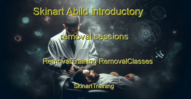 Skinart Abild introductory removal sessions | #RemovalTraining #RemovalClasses #SkinartTraining-Denmark