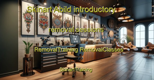 Skinart Abild introductory removal sessions | #RemovalTraining #RemovalClasses #SkinartTraining-Denmark