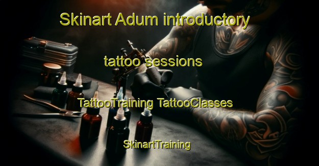 Skinart Adum introductory tattoo sessions | #TattooTraining #TattooClasses #SkinartTraining-Denmark