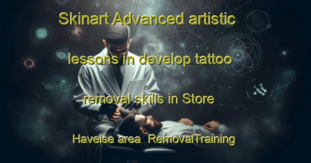 Skinart Advanced artistic lessons in develop tattoo removal skills in Store Havelse area | RemovalTraining | RemovalClasses | SkinartTraining-Denmark