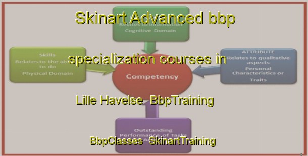 Skinart Advanced bbp specialization courses in Lille Havelse | BbpTraining | BbpClasses | SkinartTraining-Denmark