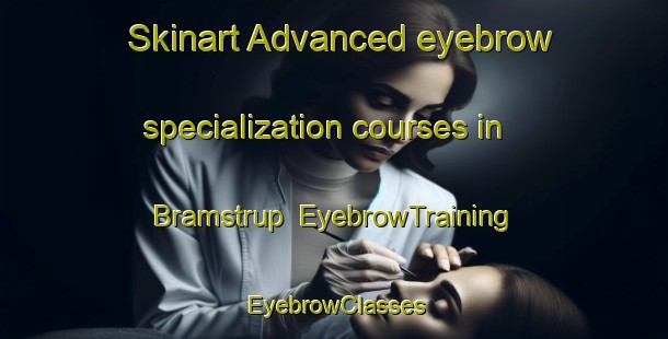 Skinart Advanced eyebrow specialization courses in Bramstrup | EyebrowTraining | EyebrowClasses | SkinartTraining-Denmark