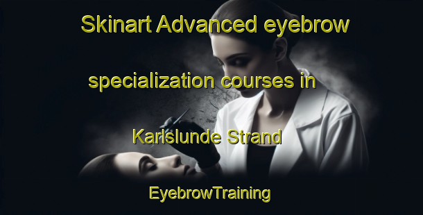 Skinart Advanced eyebrow specialization courses in Karlslunde Strand | EyebrowTraining | EyebrowClasses | SkinartTraining-Denmark