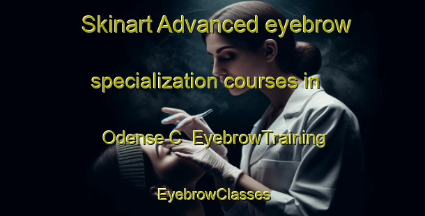 Skinart Advanced eyebrow specialization courses in Odense C | EyebrowTraining | EyebrowClasses | SkinartTraining-Denmark