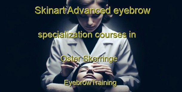 Skinart Advanced eyebrow specialization courses in Oster Skorringe | EyebrowTraining | EyebrowClasses | SkinartTraining-Denmark