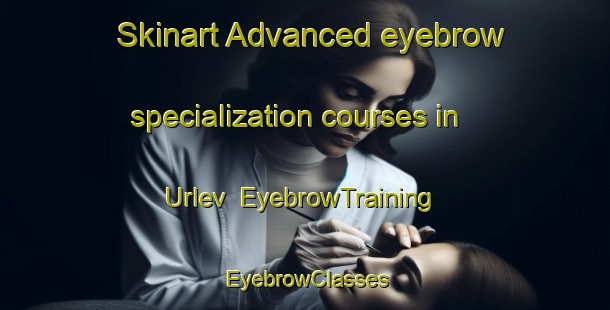 Skinart Advanced eyebrow specialization courses in Urlev | EyebrowTraining | EyebrowClasses | SkinartTraining-Denmark