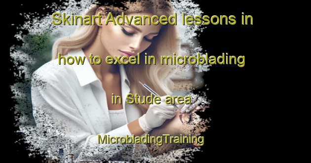 Skinart Advanced lessons in how to excel in microblading in Stude area | MicrobladingTraining | MicrobladingClasses | SkinartTraining-Denmark