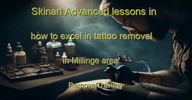Skinart Advanced lessons in how to excel in tattoo removal in Millinge area | RemovalTraining | RemovalClasses | SkinartTraining-Denmark