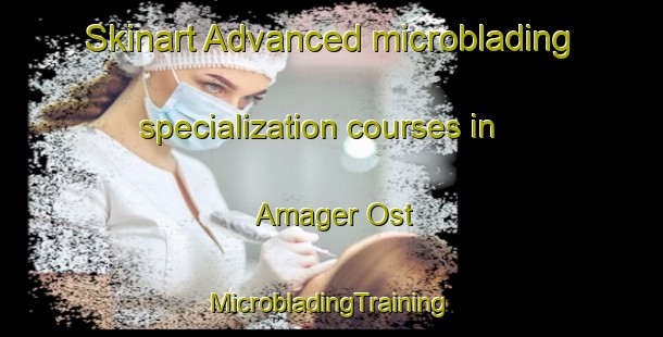 Skinart Advanced microblading specialization courses in Amager Ost | #MicrobladingTraining #MicrobladingClasses #SkinartTraining-Denmark