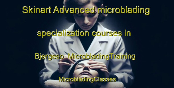 Skinart Advanced microblading specialization courses in Bjergeso | #MicrobladingTraining #MicrobladingClasses #SkinartTraining-Denmark