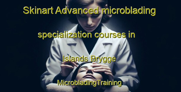 Skinart Advanced microblading specialization courses in Islands Brygge | #MicrobladingTraining #MicrobladingClasses #SkinartTraining-Denmark