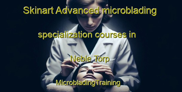 Skinart Advanced microblading specialization courses in Neble Torp | MicrobladingTraining | MicrobladingClasses | SkinartTraining-Denmark