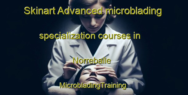 Skinart Advanced microblading specialization courses in Norreballe | #MicrobladingTraining #MicrobladingClasses #SkinartTraining-Denmark