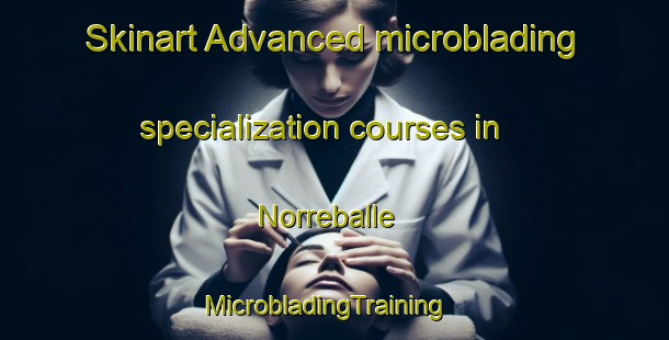 Skinart Advanced microblading specialization courses in Norreballe | MicrobladingTraining | MicrobladingClasses | SkinartTraining-Denmark