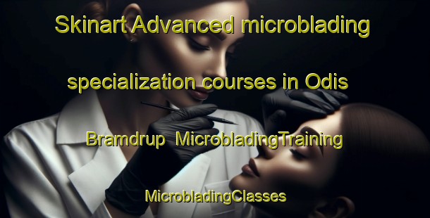 Skinart Advanced microblading specialization courses in Odis Bramdrup | #MicrobladingTraining #MicrobladingClasses #SkinartTraining-Denmark