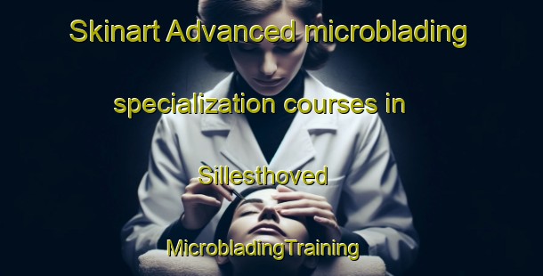 Skinart Advanced microblading specialization courses in Sillesthoved | MicrobladingTraining | MicrobladingClasses | SkinartTraining-Denmark