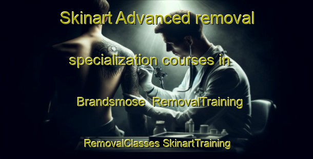 Skinart Advanced removal specialization courses in Brandsmose | #RemovalTraining #RemovalClasses #SkinartTraining-Denmark