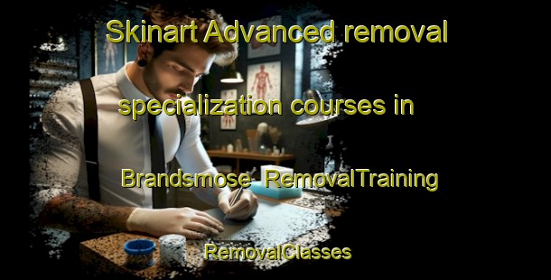Skinart Advanced removal specialization courses in Brandsmose | RemovalTraining | RemovalClasses | SkinartTraining-Denmark