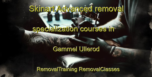 Skinart Advanced removal specialization courses in Gammel Ullerod | #RemovalTraining #RemovalClasses #SkinartTraining-Denmark