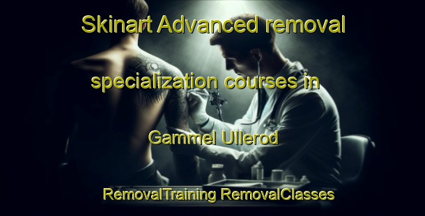 Skinart Advanced removal specialization courses in Gammel Ullerod | #RemovalTraining #RemovalClasses #SkinartTraining-Denmark