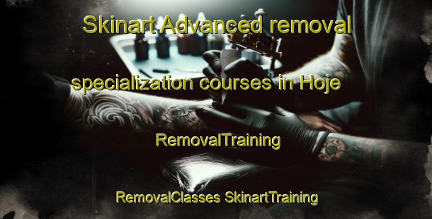 Skinart Advanced removal specialization courses in Hoje | #RemovalTraining #RemovalClasses #SkinartTraining-Denmark