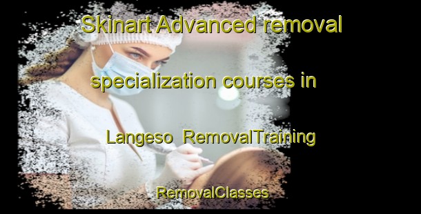Skinart Advanced removal specialization courses in Langeso | RemovalTraining | RemovalClasses | SkinartTraining-Denmark