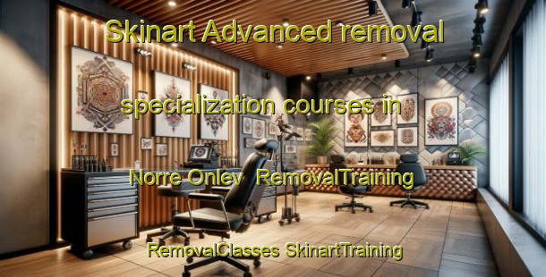 Skinart Advanced removal specialization courses in Norre Onlev | #RemovalTraining #RemovalClasses #SkinartTraining-Denmark