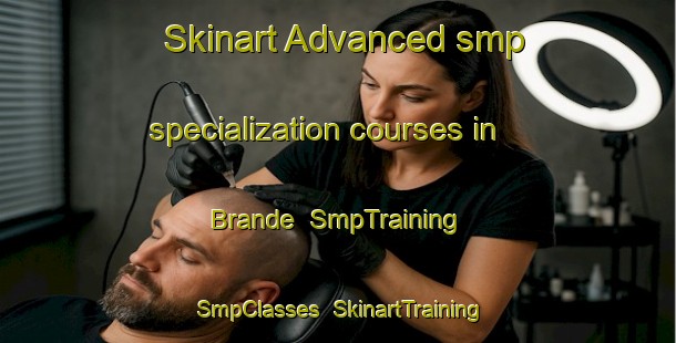 Skinart Advanced smp specialization courses in Brande | SmpTraining | SmpClasses | SkinartTraining-Denmark