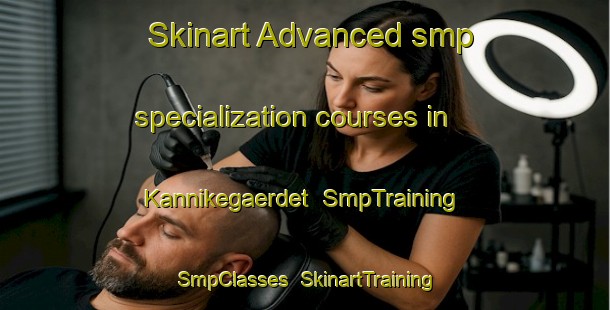 Skinart Advanced smp specialization courses in Kannikegaerdet | SmpTraining | SmpClasses | SkinartTraining-Denmark