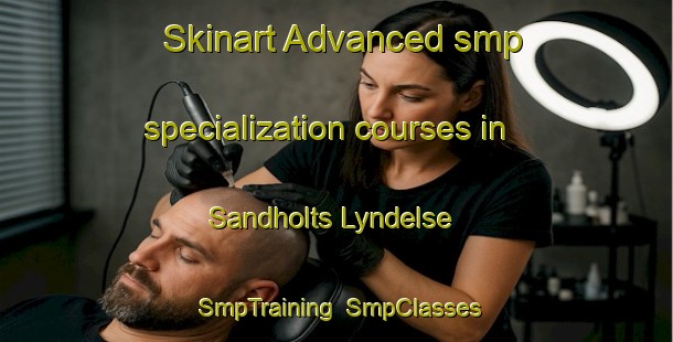 Skinart Advanced smp specialization courses in Sandholts Lyndelse | SmpTraining | SmpClasses | SkinartTraining-Denmark
