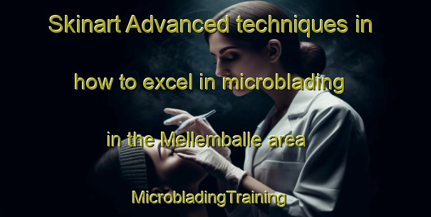 Skinart Advanced techniques in how to excel in microblading in the Mellemballe area | MicrobladingTraining | MicrobladingClasses | SkinartTraining-Denmark