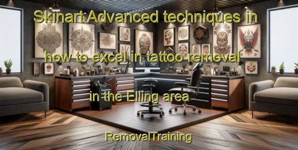 Skinart Advanced techniques in how to excel in tattoo removal in the Elling area | RemovalTraining | RemovalClasses | SkinartTraining-Denmark