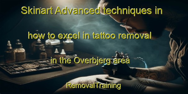 Skinart Advanced techniques in how to excel in tattoo removal in the Overbjerg area | RemovalTraining | RemovalClasses | SkinartTraining-Denmark