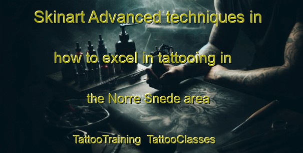Skinart Advanced techniques in how to excel in tattooing in the Norre Snede area | TattooTraining | TattooClasses | SkinartTraining-Denmark