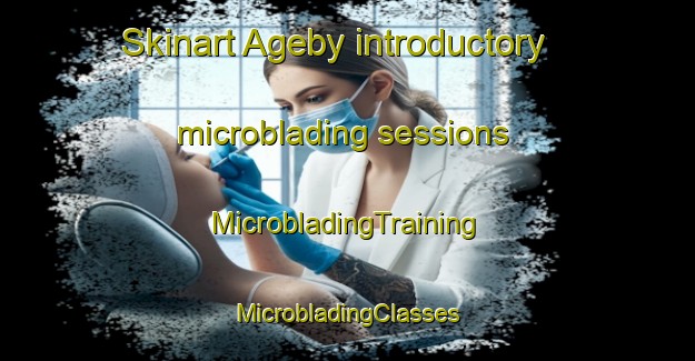 Skinart Ageby introductory microblading sessions | #MicrobladingTraining #MicrobladingClasses #SkinartTraining-Denmark