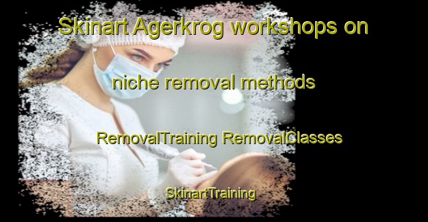 Skinart Agerkrog workshops on niche removal methods | #RemovalTraining #RemovalClasses #SkinartTraining-Denmark