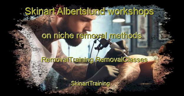 Skinart Albertslund workshops on niche removal methods | #RemovalTraining #RemovalClasses #SkinartTraining-Denmark