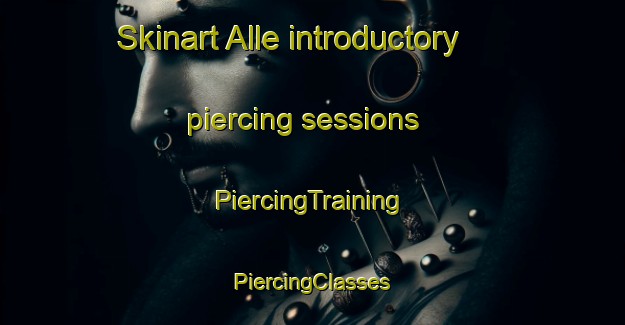 Skinart Alle introductory piercing sessions | #PiercingTraining #PiercingClasses #SkinartTraining-Denmark