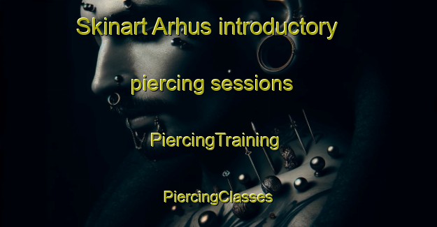 Skinart Arhus introductory piercing sessions | #PiercingTraining #PiercingClasses #SkinartTraining-Denmark