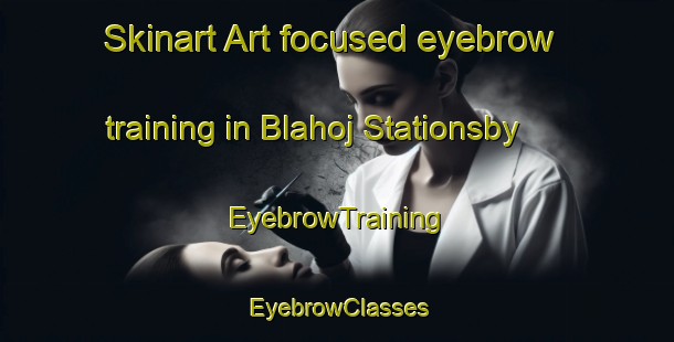 Skinart Art-focused eyebrow training in Blahoj Stationsby | EyebrowTraining | EyebrowClasses | SkinartTraining-Denmark