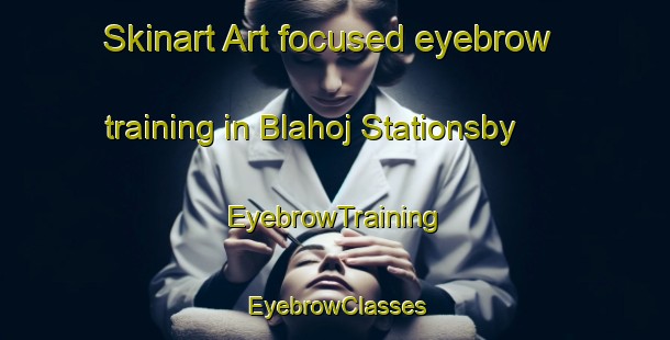 Skinart Art-focused eyebrow training in Blahoj Stationsby | EyebrowTraining | EyebrowClasses | SkinartTraining-Denmark
