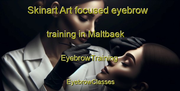 Skinart Art-focused eyebrow training in Maltbaek | EyebrowTraining | EyebrowClasses | SkinartTraining-Denmark