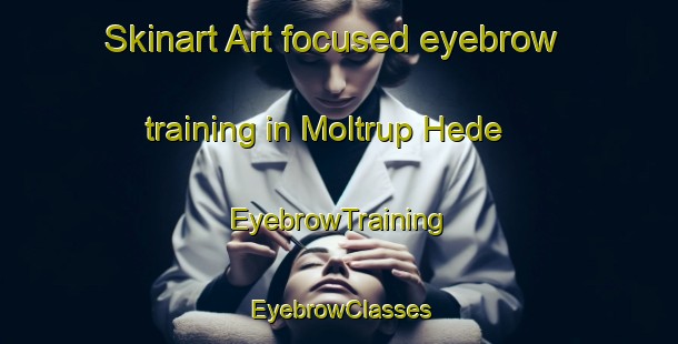 Skinart Art-focused eyebrow training in Moltrup Hede | EyebrowTraining | EyebrowClasses | SkinartTraining-Denmark