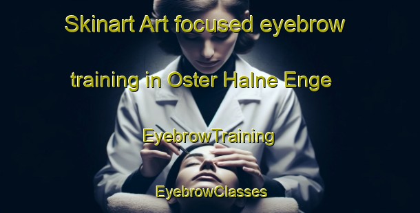 Skinart Art-focused eyebrow training in Oster Halne Enge | EyebrowTraining | EyebrowClasses | SkinartTraining-Denmark