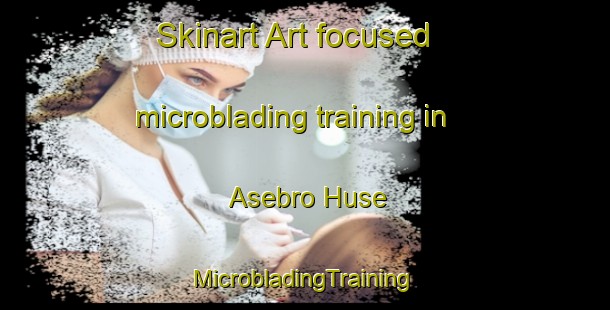 Skinart Art-focused microblading training in Asebro Huse | #MicrobladingTraining #MicrobladingClasses #SkinartTraining-Denmark