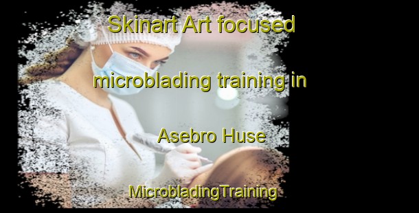 Skinart Art-focused microblading training in Asebro Huse | MicrobladingTraining | MicrobladingClasses | SkinartTraining-Denmark