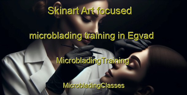 Skinart Art-focused microblading training in Egvad | #MicrobladingTraining #MicrobladingClasses #SkinartTraining-Denmark